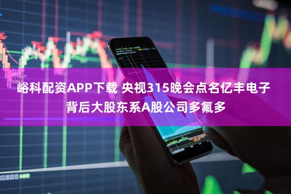 峪科配资APP下载 央视315晚会点名亿丰电子 背后大股东系A股公司多氟多