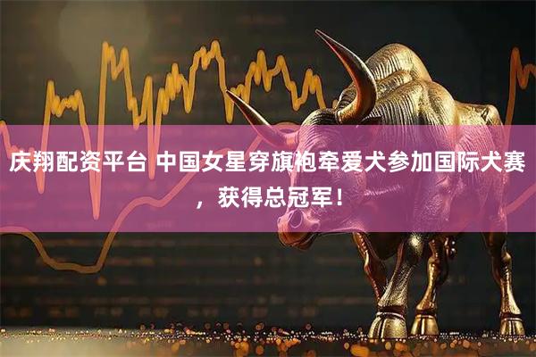庆翔配资平台 中国女星穿旗袍牵爱犬参加国际犬赛，获得总冠军！