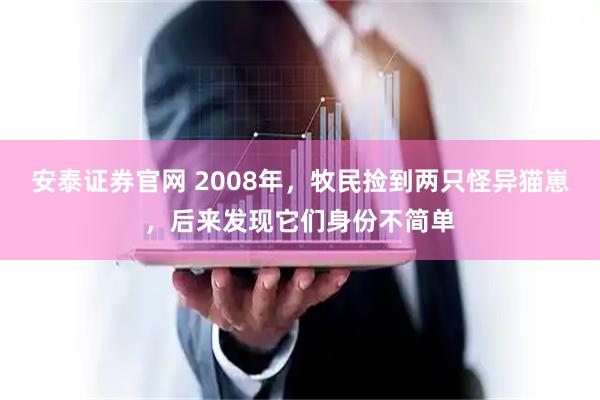 安泰证券官网 2008年，牧民捡到两只怪异猫崽，后来发现它们身份不简单