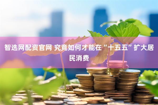 智选网配资官网 究竟如何才能在“十五五”扩大居民消费